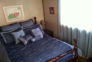 Pagosa Springs - 3 Bedroom Home, Downtown المظهر الخارجي الصورة